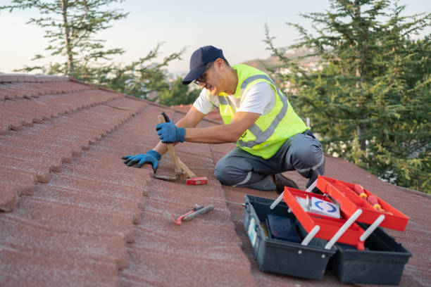 Best Roof Maintenance Services  in Badger, AK
