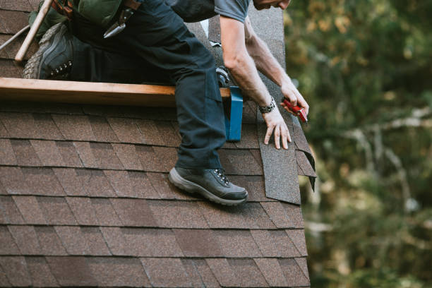 Best Roof Gutter Cleaning  in Badger, AK